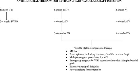 vgi test results|Vascular Graft Infections, Mycotic Aneurysms, and Endovascular .
